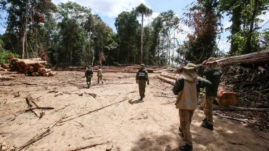 Flagrante de desmatamento pela polícia ambiental