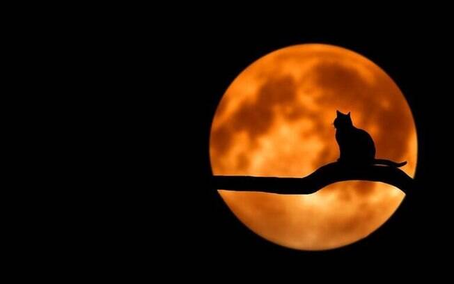 Fases da Lua: Saiba como aproveitar cada uma delas Fases da Lua: Saiba como aproveitar cada uma delas