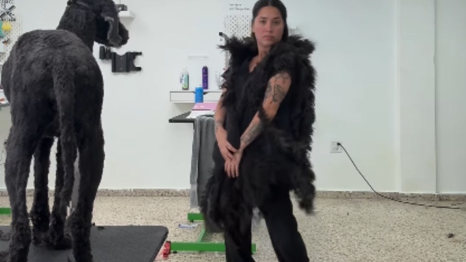 Cruella? Jovem viraliza após fazer casaco com pelos de cão Cruella? Jovem viraliza após fazer casaco com pelos de cão