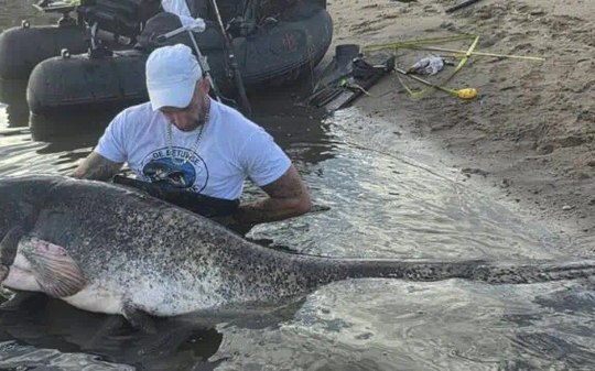 Pescador fisga bagre de 2,51 metros e bate recorde