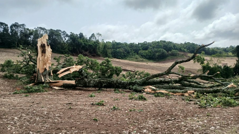 Em Três Palmeiras (RS), fornecimento de energia foi reestabelecido pela tarde Em Três Palmeiras (RS), fornecimento de energia foi reestabelecido pela tarde
