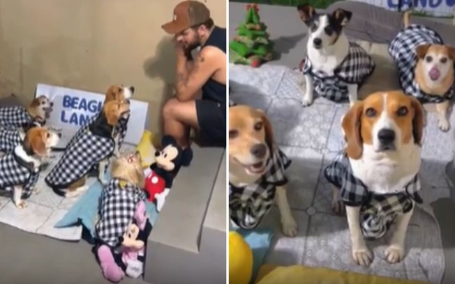 Pets participam de festa do pijama em escolinha Av9dn8spe0oe7xi6250gjwxku