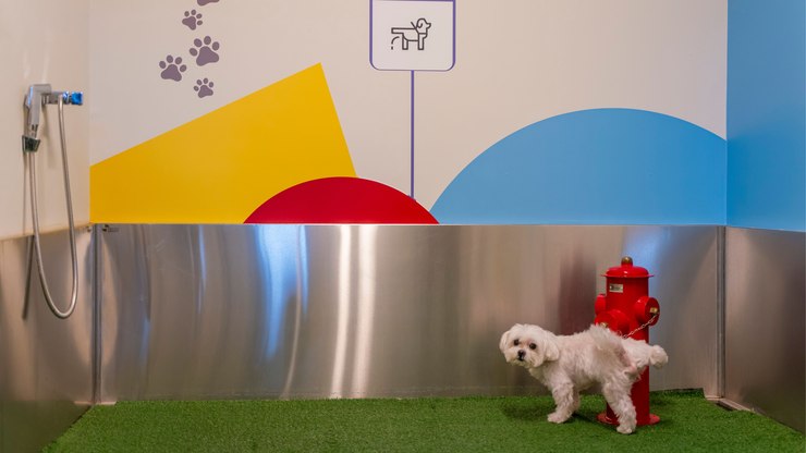 Conheça as curiosidades dos novos banheiros pet nos aeroportos