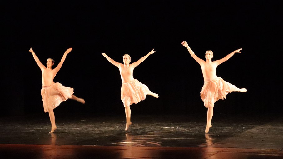 Bailarinas durante apresentação no 1º Vinhedo Dance Festival Bailarinas durante apresentação no 1º Vinhedo Dance Festival