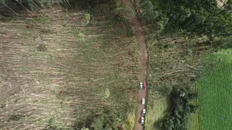 Árvores foram arrancadas na área rural Árvores foram arrancadas na área rural
