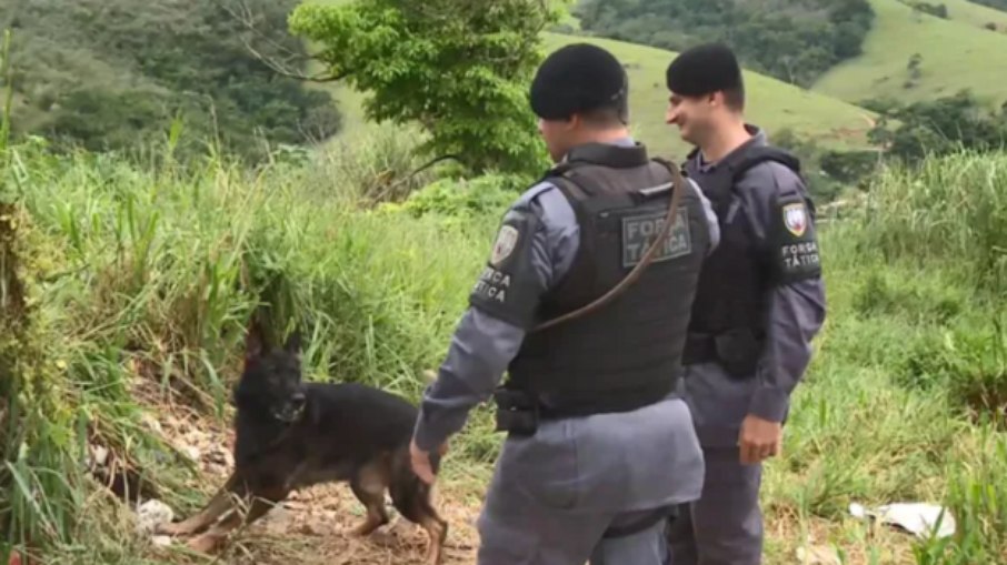 Cachorro farejador ajudava policiais Cachorro farejador ajudava policiais