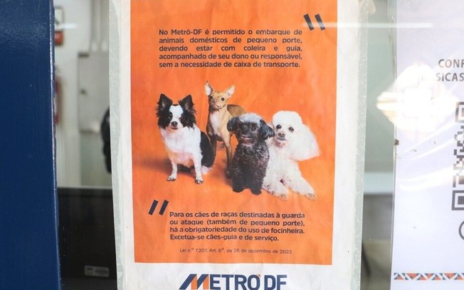 Transporte de animais de estimação no metrô tem regras especiais