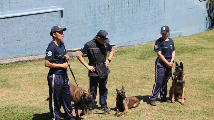 Estudantes conhecem trabalho da GCM Vinhedo em visita educativa