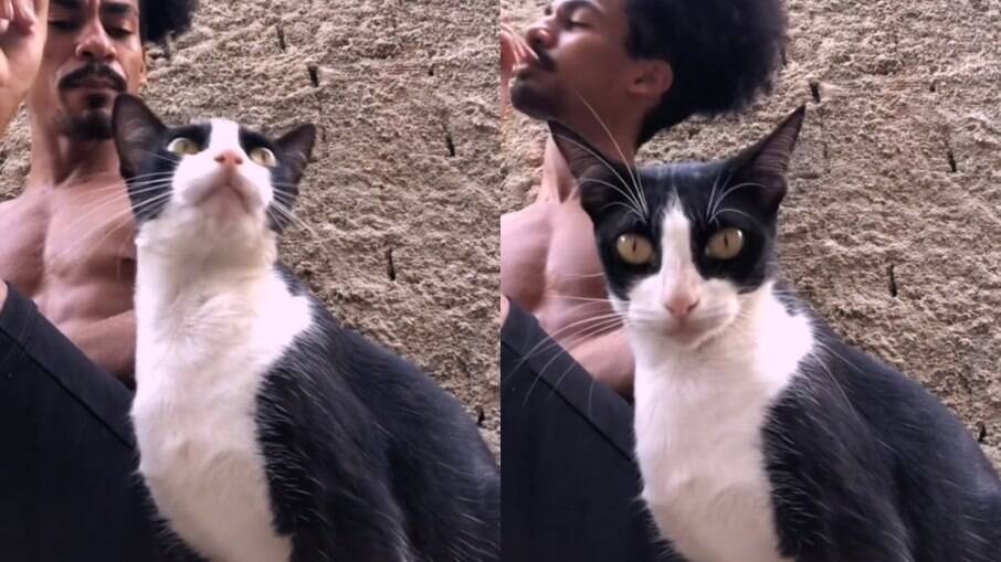 Pedro Black tem conversa sincera com gata que ignorou seus conselhos sobre gato