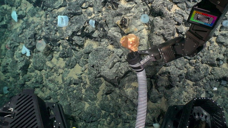 Bola dourada encontrada no fundo do mar tem segredo revelado