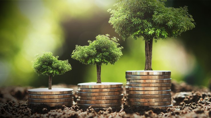 Pesquisa XP: apenas duas entre 60 gestoras têm excelência em ESG