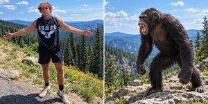 Homem vs fera: lutador aceita R$ 2,5 mi por combate com chimpanzé