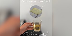Cachorro vomitando amarelo? Saiba o porquê e o que fazer