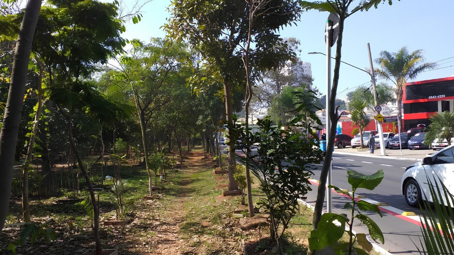 Parque Linear Tiquatira, primeiro parque linear da cidade de São Paulo