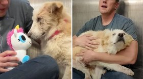 Cão resgatado ganha primeiro brinquedo e reação surpreende