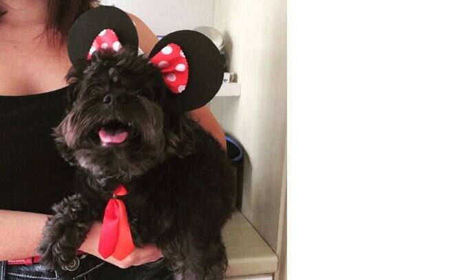 Essa cadelinha vestida de Minnie está muito fofa!