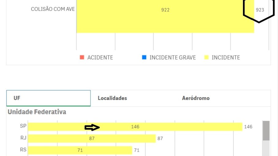 Neste ano foram 923 ocorrências