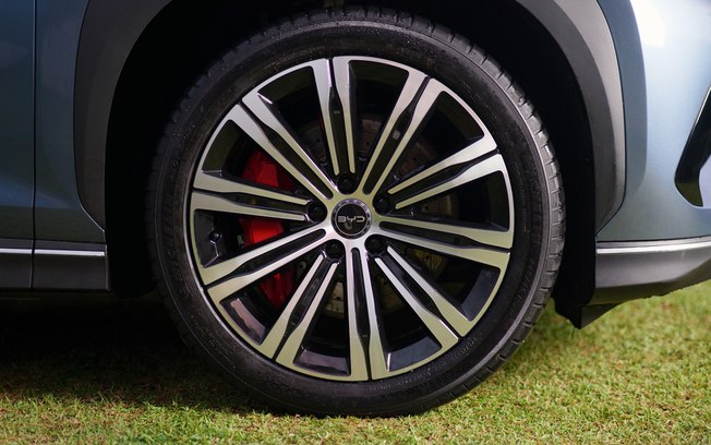 BYD desenvolve tecnologia que detecta animais embaixo do
carro
