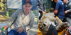 Onça-pintada monitorava o caseiro, diz sobrinho do homem morto