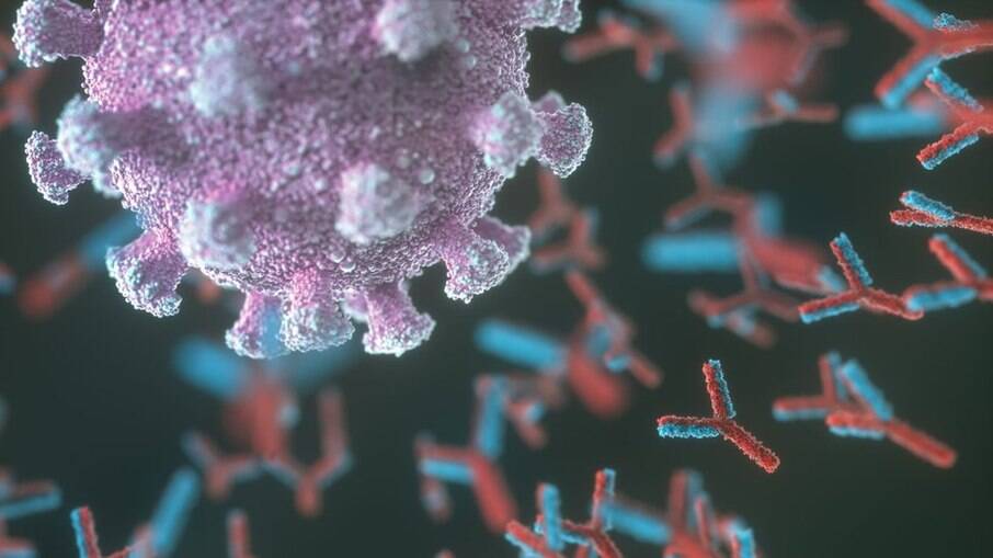  Um sistema imune fragilizado pode provocar casos mais graves da doença