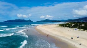 Saiba de onde vem páprica, que conquista espaço na cozinha