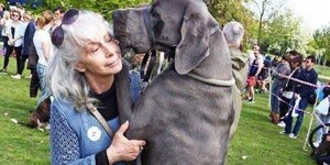 De luto, tutora doa corpo de Dogue Alemão para estudos científicos