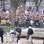 Uma pessoa é vista sendo conduzida em uma maca enquanto os manifestantes se reuniam na quarta-feira. Foto: Reprodução