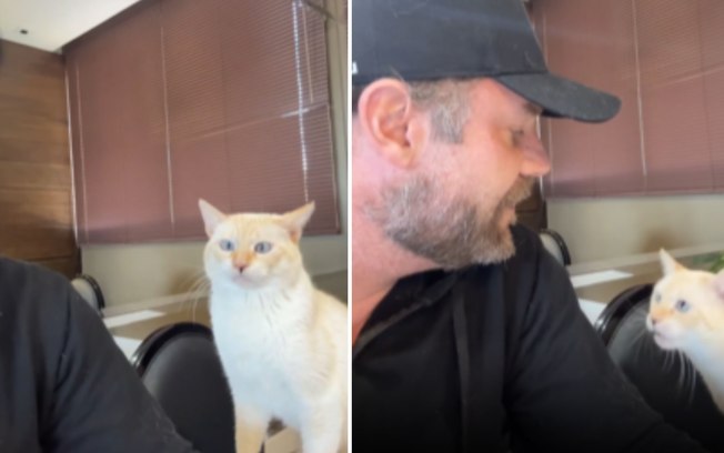 Gato “responde” tutor ao ouvir palavras de que não gosta B0fcoi8usa7i56dg3ij1kj3a6