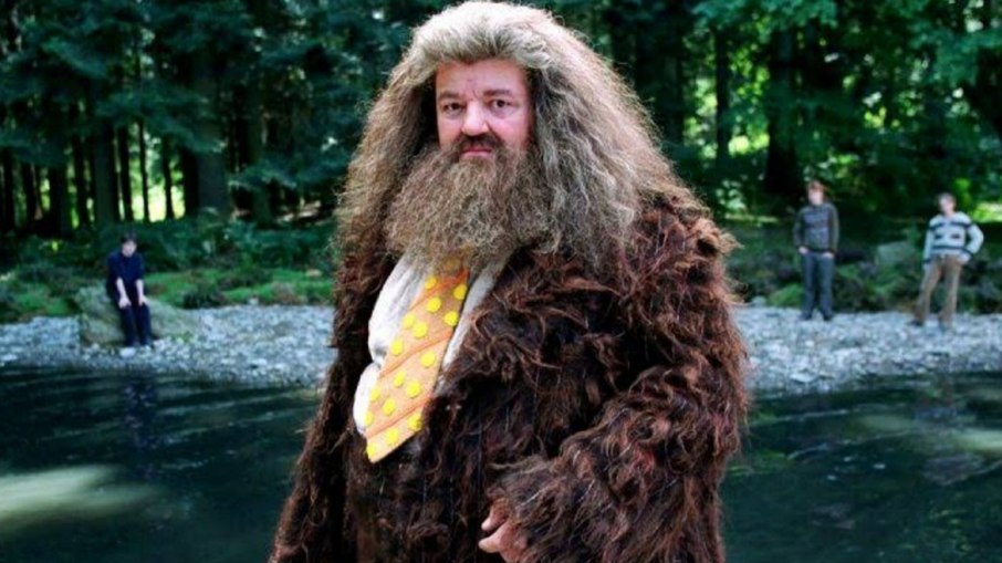 Robbie ficou famoso mundialmente como Hagrid