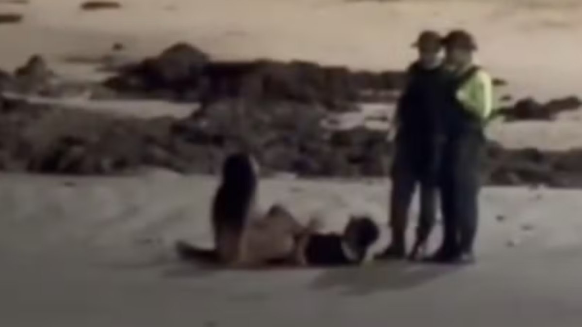 Casal é flagrado tendo relações sexuais em praia Casal é flagrado tendo relações sexuais em praia