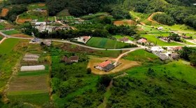 Safra da Lagosta 2025 em novas novas regras 