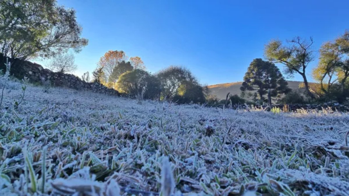 Santa Catarina bate mínimas de -5ºC na manhã desta quinta (21)