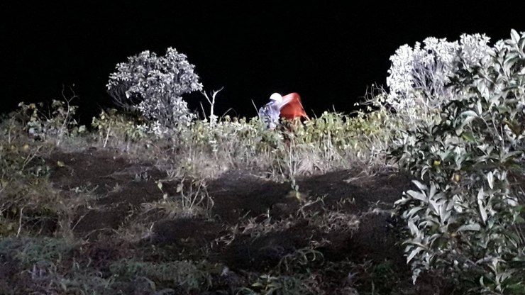 Bombeiros salvam cachorro caramelo em situação de risco no Morro do Camaroeiro