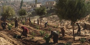 Brasil estuda como plantar alimentos em outros planetas