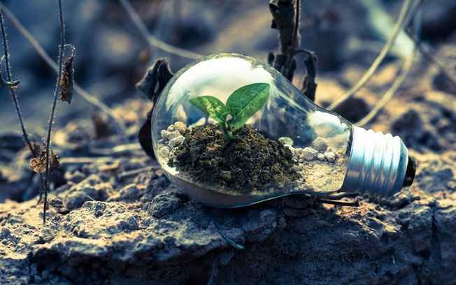 Dia da Terra: reflexões e ações para um Mundo mais sustentável