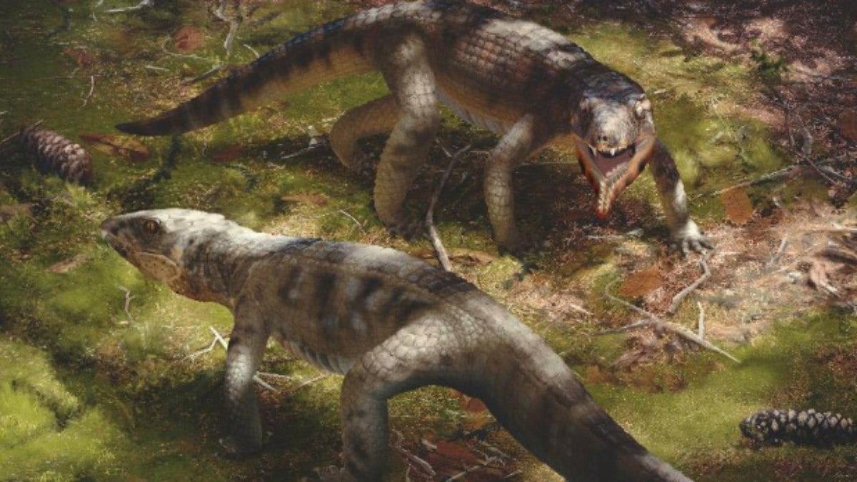 Discovery of a crocodile that made sounds and lived with dinosaurs;  look