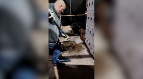 Jovem em risco é encontrado em estádio de Toledo