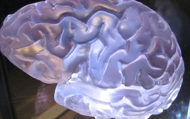 Sinais encontrados na substância branca do cérebro intrigam cientistas