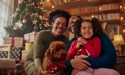 Confira 5 filmes de Natal com cachorros