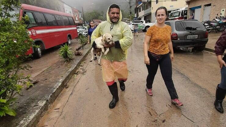 Cadela é achada cavando local onde dono foi soterrado em Guarujá