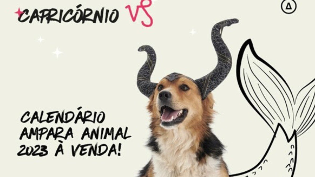 Pets entraram no estilo do zodíaco em ação da Ampara Animal