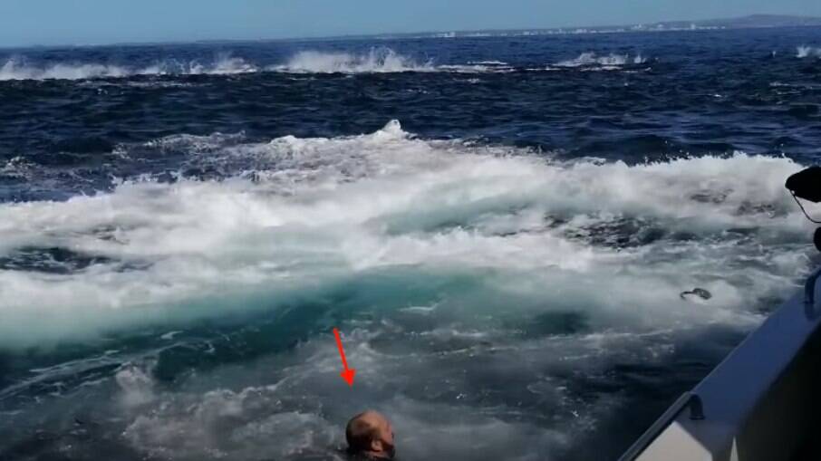 Homem caiu do barco com o impacto da baleia