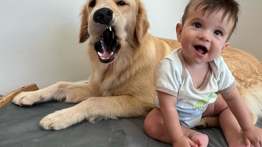 Golden e bebê Golden e bebê