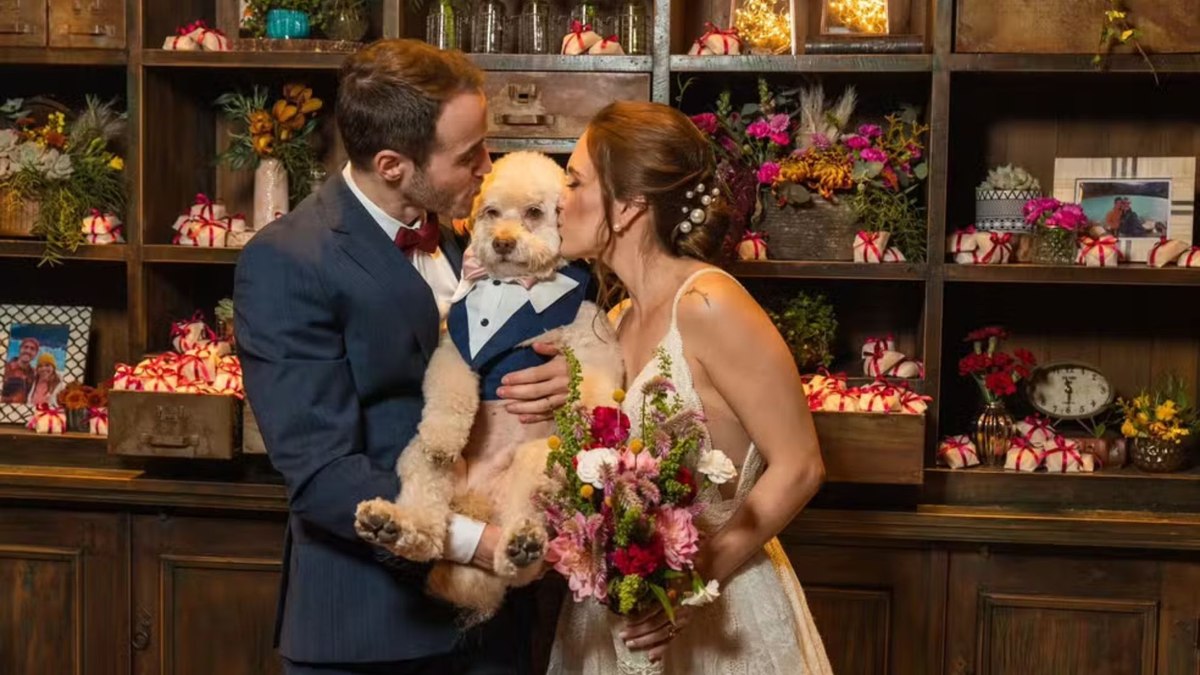 Bartho, como era chamado o cachorrinho, estava com o casal há cinco anos