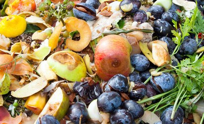 Brasil declara guerra ao desperdício de alimentos em painel global