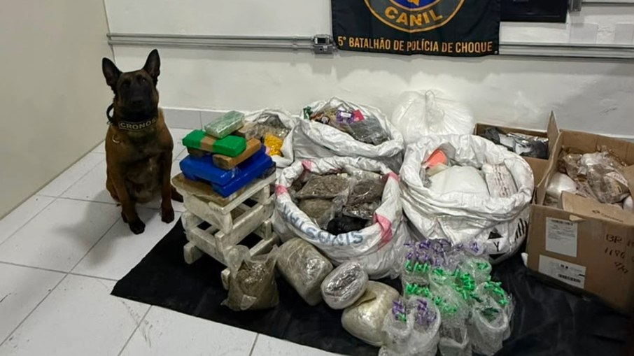 Cão farejadore do 5º Batalhão de Choque ao lado de drogas apreendidas 