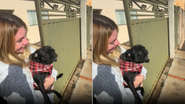 Pug faz drama toda vez que a visita vai embora