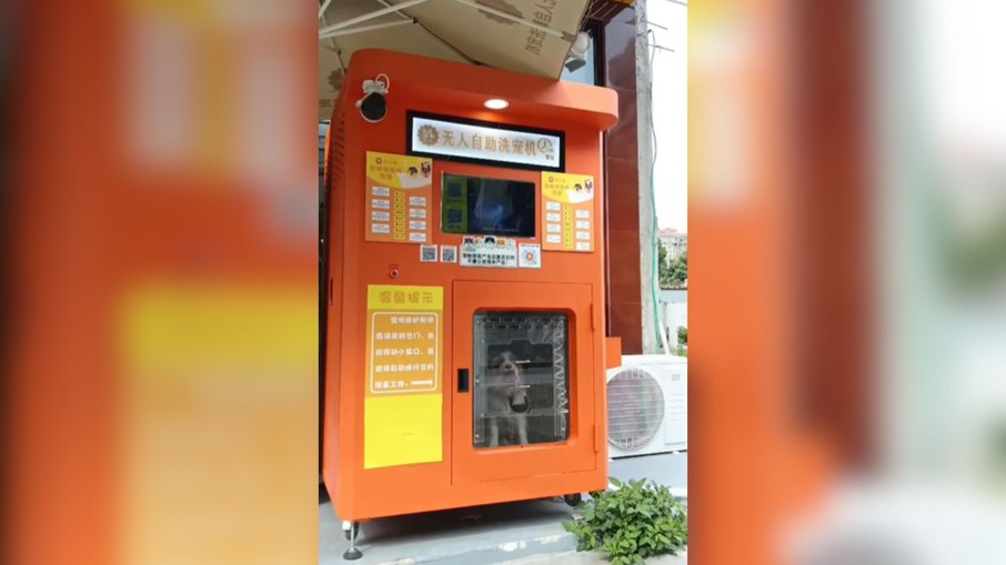 China desenvolve máquina de banho automático para pets