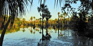 15 destinos do ecoturismo para aproveitar no verão