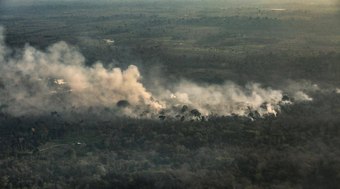 Roraima concentra 40% dos focos de incêndio do país em 2024